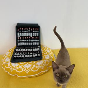 Bachblütenset und die Katze - Astrid Schleicher Bachblütenset und die Katze - Astrid Schleicher