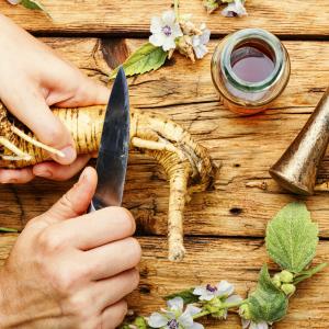 Wurzelkraft - Wurzeln in der Küche und Naturapotheke - AdobeStock Nikola Donetsk Wurzelkraft - Wurzeln in der Küche und Naturapotheke - AdobeStock Nikola Donetsk