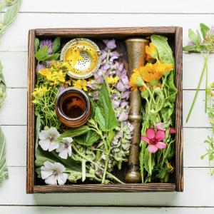 Heilkräutersammlung in Holzbox - AdobeStock Nikolay Donetsk 