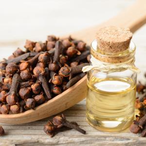 Knospenöl - AdobeStock Knospenöl - AdobeStock