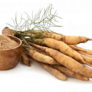 Shatavari (Asparagus racemosus) Wurzeln und Pulver - AdobeStock Shatavari (Asparagus racemosus) Wurzeln und Pulver - AdobeStock