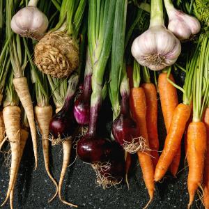 Wurzelgartengemüse - AdobeStock Wurzelgartengemüse - AdobeStock