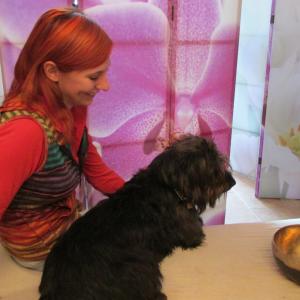 Arbeiten mit Klangschalen-Dipl. Tierenergetiker/in Arbeiten mit Klangschalen-Dipl. Tierenergetiker/in