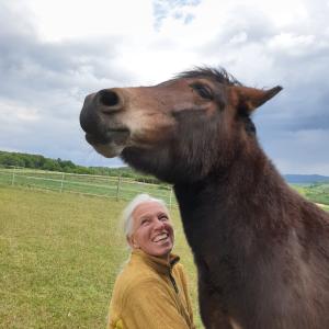 Dipl. Tierenergetiker/in Dipl. Tierenergetiker/in