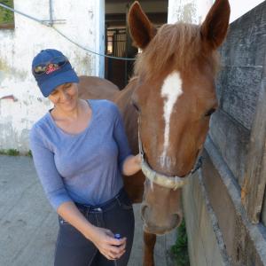 Aromatherapie bei Pferden-Dipl. Aromatherapie für Tiere 