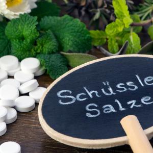 Schüssler Salze Kuren 