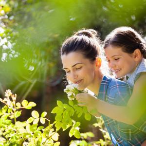 AdobeStock Wavebreak Kräuter und Natur für Kinder