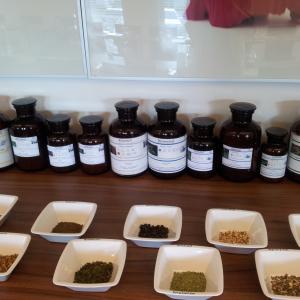 Einblicke in die Meisterkräutertherapie Ausbildung  Einblicke in die Meisterkräutertherapie Ausbildung