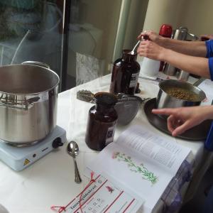 Einblicke in die Meisterkräutertherapie Ausbildung  Einblicke in die Meisterkräutertherapie Ausbildung