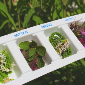 AdobeStock Goldbany_Kräuterhausapotheke AdobeStock Goldbany_Kräuterhausapotheke