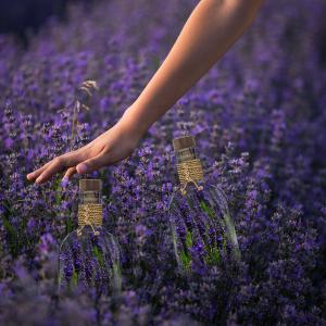 Freiheit durch Schattenarbeit mit besonderen Düften Freiheit durch Schattenarbeit mit besonderen Düften