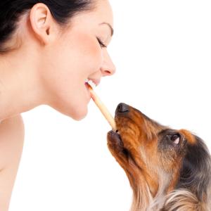 AdobeStock Unipict: Richtige Fütterung von Hunden für ein gesundes Hundeleben