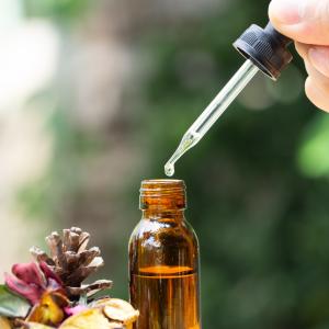 AdobeStock - Bachblüten helfen auch Tieren schnell und sanft AdobeStock - Bachblüten helfen auch Tieren schnell und sanft