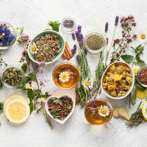 AdobeStock_bit24,, Naturheilkundliche Hausapotheke - Kräuter, Heilpflanzen & Hausmittel für Kinder Kurs AdobeStock_bit24,, Naturheilkundliche Hausapotheke - Kräuter, Heilpflanzen & Hausmittel für Kinder Kurs