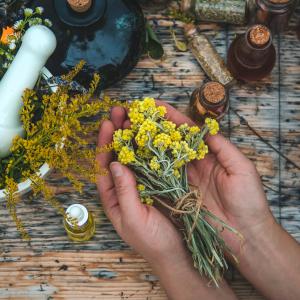 AdobeStock_yanadjan_altes Heilpflanzenwissen der TEM - Ausbildung für Naturheilkundliche Hausapotheke - Kräuter, Heilpflanzen & Hausmittel für Kinder