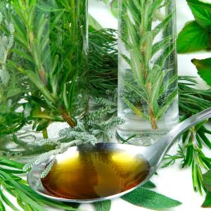 Adobestock_MartinaOsmy_Heilkräuter, Kräuter und Heilpflanzen für die Hausapotheke für Kinder nutzen Adobestock_MartinaOsmy_Heilkräuter, Kräuter und Heilpflanzen für die Hausapotheke für Kinder nutzen