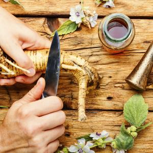 AdobeSTock nikolaydonetsk- natürliche Heilmittel, Kräuter, Wurzeln und Hausmittel für Kinder aus der TEM bei Allergien - Online Ausbildung AdobeSTock nikolaydonetsk- natürliche Heilmittel, Kräuter, Wurzeln und Hausmittel für Kinder aus der TEM bei Allergien - Online Ausbildung