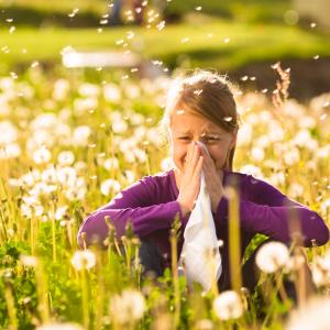 AdobeStock_Altes Heilpflanzenwissen der TEM & Heilkräuter bei Allergien für Kinder - Kurs AdobeStock_Altes Heilpflanzenwissen der TEM & Heilkräuter bei Allergien für Kinder - Kurs