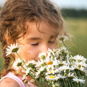 AdobeStock_Altes Heilpflanzenwissen der TEM & Heilkräuter bei Allergien für Kinder - Kurs 