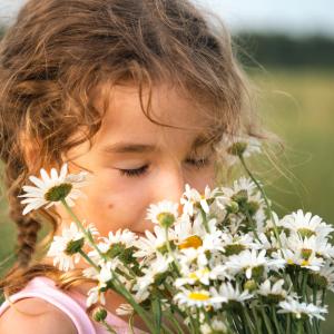 AdobeStock_Altes Heilpflanzenwissen der TEM & Heilkräuter bei Allergien für Kinder - Kurs AdobeStock_Altes Heilpflanzenwissen der TEM & Heilkräuter bei Allergien für Kinder - Kurs