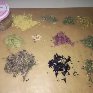 Feinstoffliche Pflanzenwelt- Räuchern, Pflanzenmeditation, Pflanzenkommunikation Feinstoffliche Pflanzenwelt- Räuchern, Pflanzenmeditation, Pflanzenkommunikation