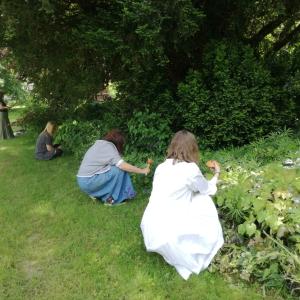 Feinstoffliche Pflanzenwelt- Räuchern, Pflanzenmeditation, Pflanzenkommunikation Feinstoffliche Pflanzenwelt- Räuchern, Pflanzenmeditation, Pflanzenkommunikation