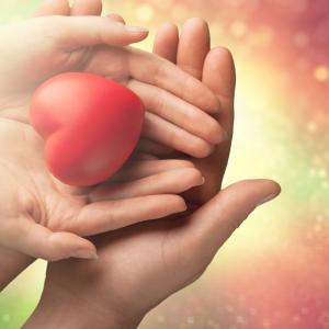 AdobeStock_BillionPhotos.com - Palliative Care ganzheitlich und mit viel Herz AdobeStock_BillionPhotos.com - Palliative Care ganzheitlich und mit viel Herz