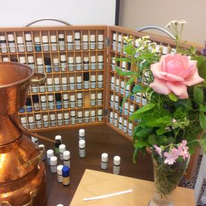 Komplementäre Aromapflege - Einblicke in unsere Aromapflege Kurse