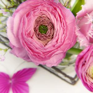 Natürliche Babypflege, Hautpflege und Windelpflege für Babys lernen Natürliche Babypflege, Hautpflege und Windelpflege für Babys lernen