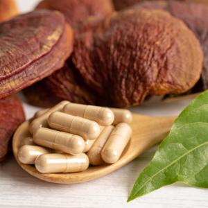 Heilpilze und Vitalpilze Grundausbildung - Anwendungsarten und Zubereitung - AdobeStock_amazing studio Heilpilze und Vitalpilze Grundausbildung - Anwendungsarten und Zubereitung - AdobeStock_amazing studio