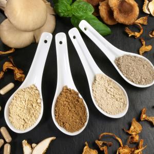 AdobeStock_ExQuisine_Pilze Heilkraft Pilzpulver AdobeStock_ExQuisine_Pilze Heilkraft Pilzpulver