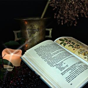 Besondere Pilze, Giftpilze bis psychedelische Pilze & Mythologie in der TEM - Ausbildung & Onlinekurs Besondere Pilze, Giftpilze bis psychedelische Pilze & Mythologie in der TEM - Ausbildung & Onlinekurs