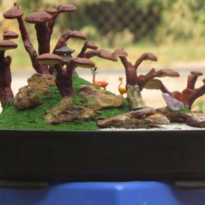 fernöstliche Heilpilze und Vitalpilze Ausbildung Kurs in Österreich fernöstliche Heilpilze und Vitalpilze Ausbildung Kurs in Österreich