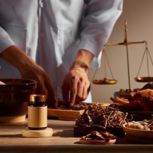 AdobeStock_Nu_Pilze als Heilmittel nutzen AdobeStock_Nu_Pilze als Heilmittel nutzen