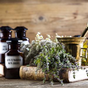 AdobeStock Sebastian Duda - besondere Pilze in der Geschichte, Mythologie und TEM AdobeStock Sebastian Duda - besondere Pilze in der Geschichte, Mythologie und TEM