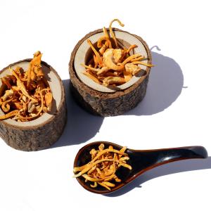 fernöstliche Heilpilze und Vitalpilze nutzen lernen fernöstliche Heilpilze und Vitalpilze nutzen lernen