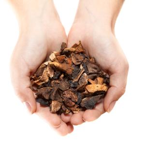 AdobeStock_Kekyalyaynen_getrocknete Pilze AdobeStock_Kekyalyaynen_getrocknete Pilze