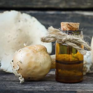 AdobeStock_Dmitriy_Alkoholischer Pilzauszug AdobeStock_Dmitriy_Alkoholischer Pilzauszug