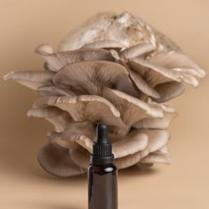 AdobeStock_BooFamily_Pilze Tinktur. AdobeStock_BooFamily_Pilze Tinktur.