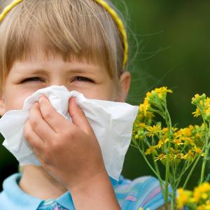 Pollenallergie und Heuschnupfen Hausmittel, Kräuter, Heilpflanzen, Aromatherapie; AdobeStock - Allergien bei Kindern