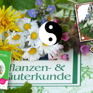 Die Meisterkräutertherapie bei Heuschnupfen, Allergien, Pollen Die Meisterkräutertherapie bei Heuschnupfen, Allergien, Pollen