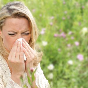AdobeStock, Heilpflanzen, Kräuter und ätherische Öle bei Pollenallergie und Heuschnupfen AdobeStock, Heilpflanzen, Kräuter und ätherische Öle bei Pollenallergie und Heuschnupfen