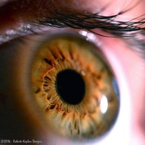 Spirituelle Irisdiagnose - Energetic Eyehealing Praxis Ausbildung