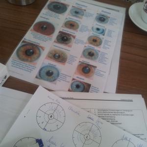 Irisdiagnose Iridologie Sehtrainer Optik Ausbildung Weiterbildung Österreich mit internationalen Experten Irisdiagnose Iridologie Sehtrainer Optik Ausbildung Weiterbildung Österreich mit internationalen Experten