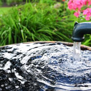 AdobeStock_schulzie - Wasserquellen und Wasseradern finden, Brunnenplatz finden, Brunnen mit Wünschelrute austesten lernen