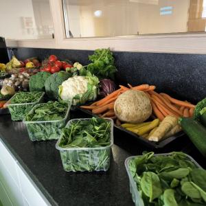 Einblicke aus dem Modul "TCM Diätetik Kochpraxis - 5 Elemente & vegane Küche" am 30.06.24 Einblicke aus dem Modul "TCM Diätetik Kochpraxis - 5 Elemente & vegane Küche" am 30.06.24