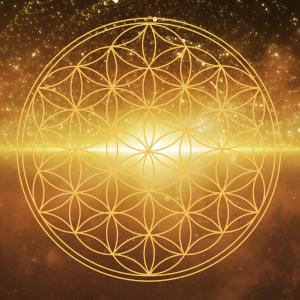 AdobeStock Reich der Natur: Das eigene Potential entfalten, Achtsamkeit, Leben im Einklang mit dem Seelenplan AdobeStock Reich der Natur: Das eigene Potential entfalten, Achtsamkeit, Leben im Einklang mit dem Seelenplan