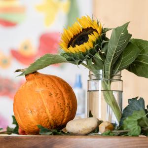 Ausbildung "Intergrative Ernährungsexpert:in"©Klaus Ranger Ausbildung "Intergrative Ernährungsexpert:in"©Klaus Ranger