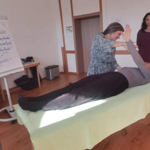 Kinesiologisches Austesten beim Seminar Kinesiologie - Touch for Health® I Graz Steiermarkhof Oktober 2024 Kinesiologisches Austesten beim Seminar Kinesiologie - Touch for Health® I Graz Steiermarkhof Oktober 2024