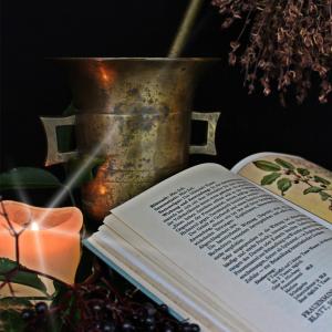 Spagyrik - Ausbildung TEM, altes Wissen & Alchemie - alte Pflanzenheilkunde der traditionellen europäischen Medizin Spagyrik - Ausbildung TEM, altes Wissen & Alchemie - alte Pflanzenheilkunde der traditionellen europäischen Medizin
